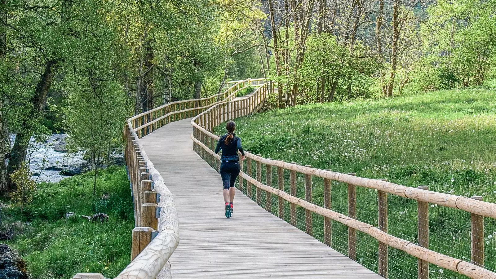 La fotografia 'Jogging', de Ramon Villanueva, guanyadora del concurs del parc de Sorteny. / RAMON VILLANUEVA