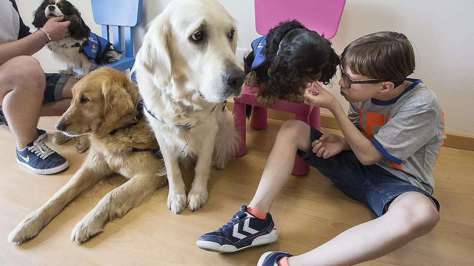 L’Aleksei donant menjar a un dels gossos en una de les activitats que fa a la teràpia.
