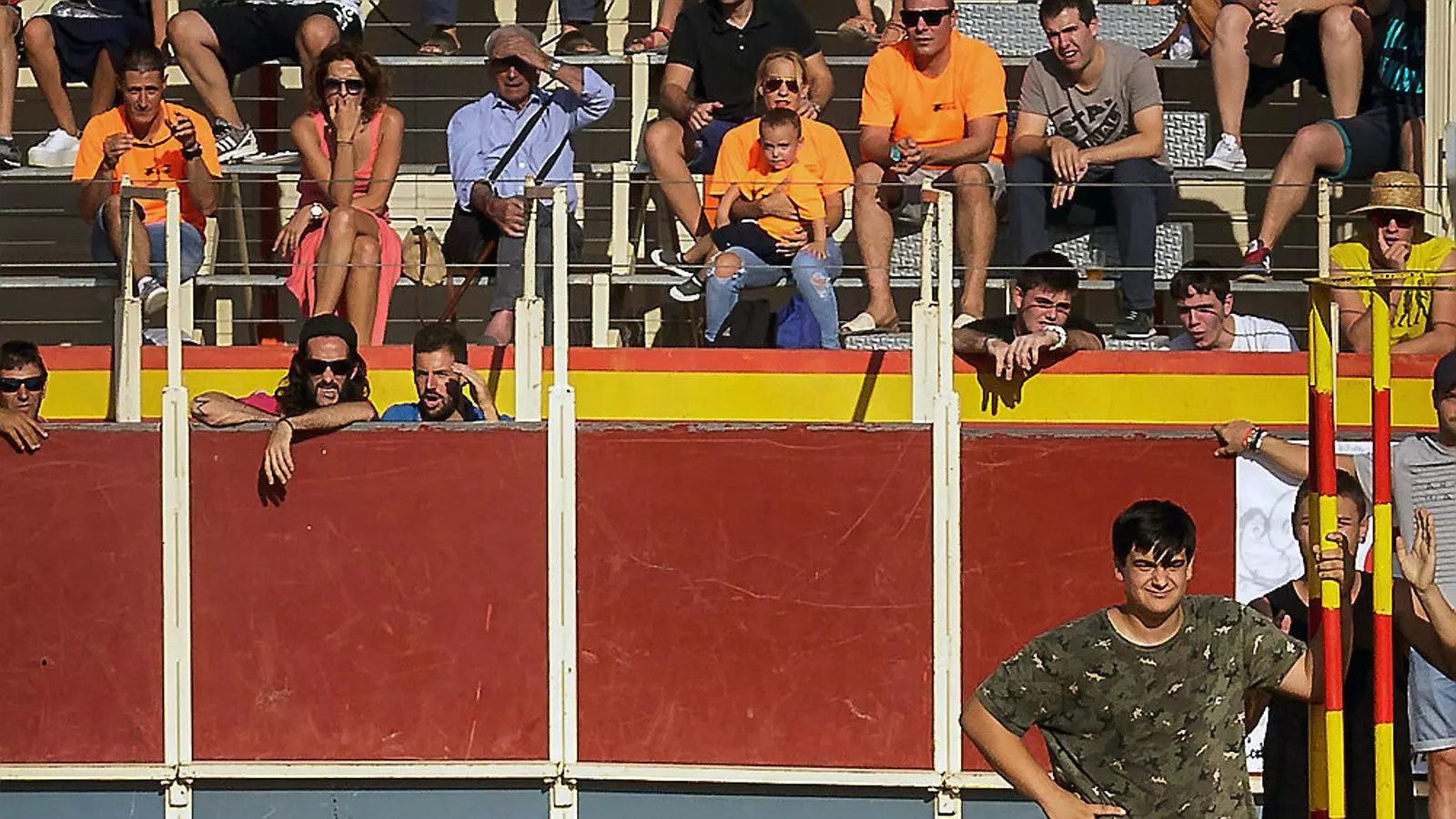 Un bou envestint un noi en una festa de correbous a Vidreres.