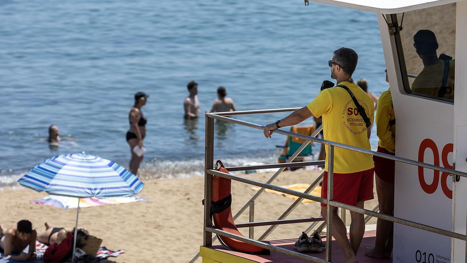Lifeguard watching the beach