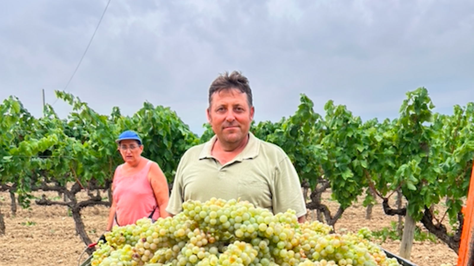 Josep Anton Vendrell, winegrower and president of the Association of Winegrowers of Catalonia
