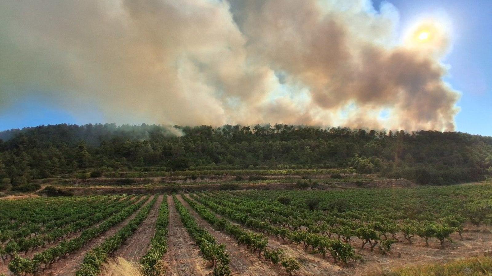 Fire in Les Garrigues.