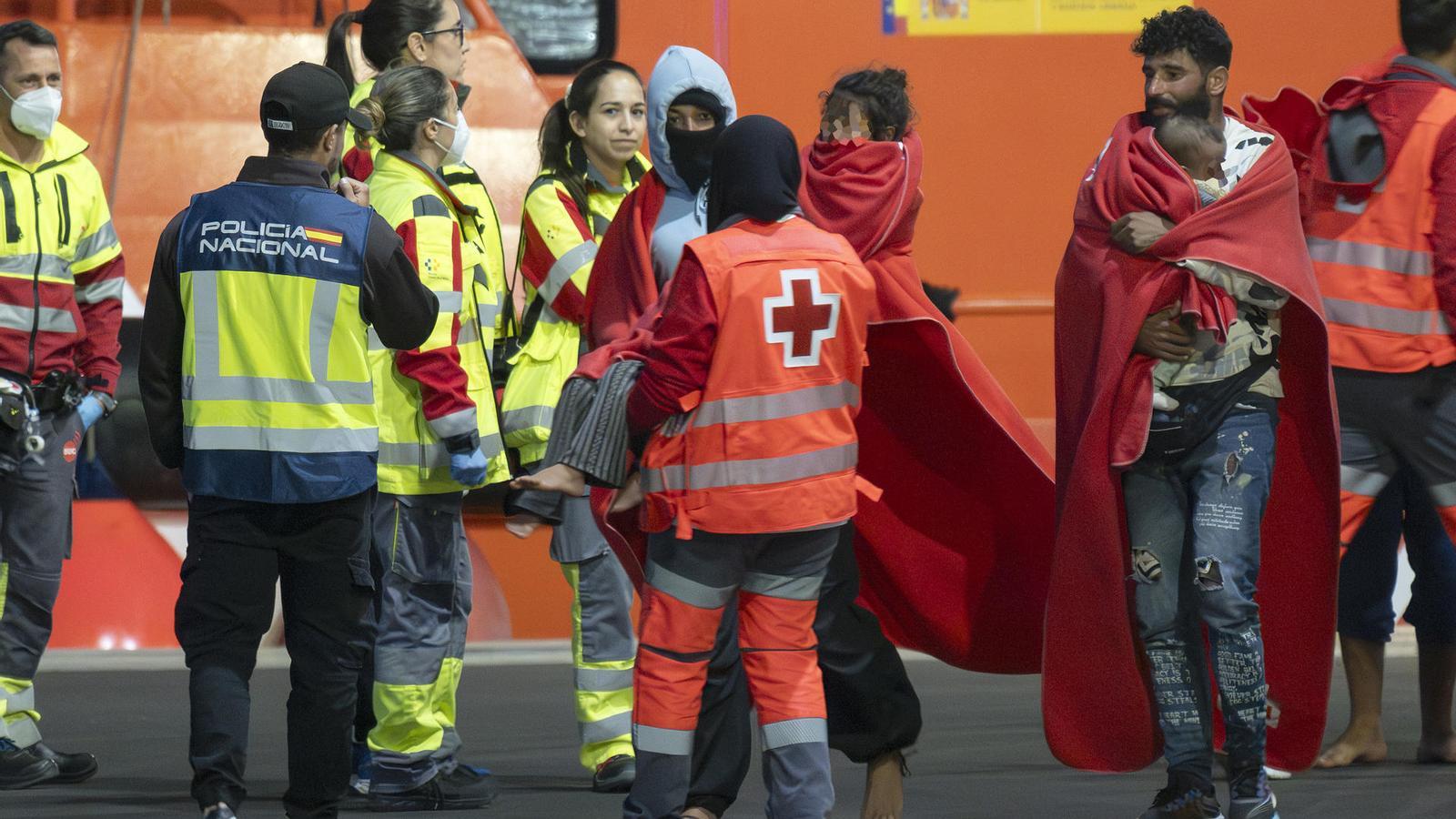 Sanitary teams attending to a group of shipwrecked people, including two creatures, who arrived at a port in Lanzarote.