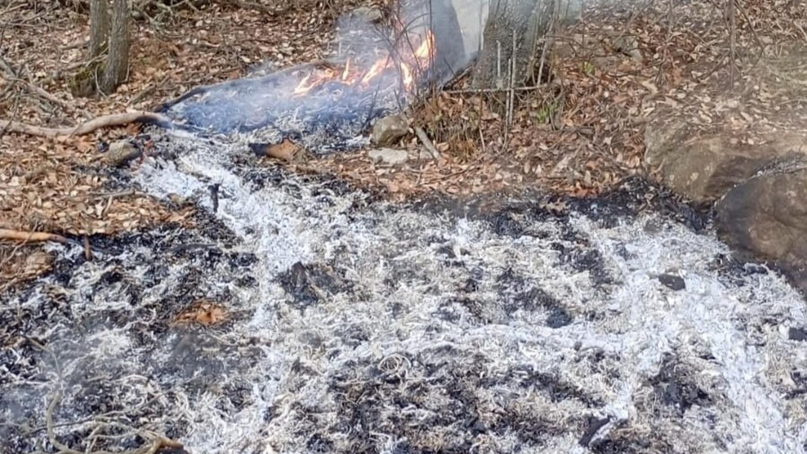 Incendio en el Coll de Honor, Bunyola.