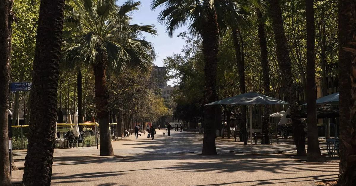 Mossos dEsquadra officers patrolling El Raval during Barcelona prescription drug crackdown