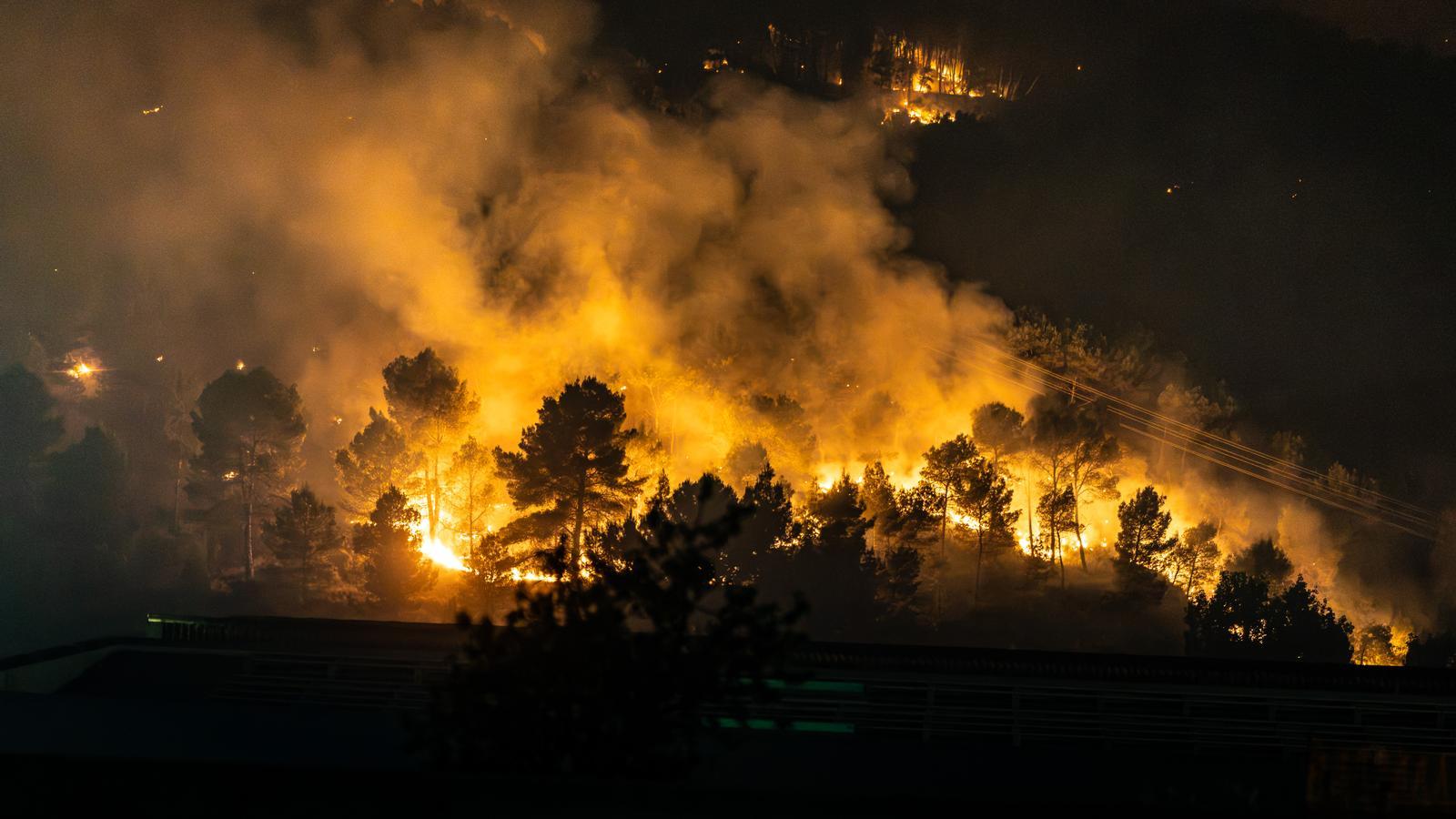 El incendio declarado la semana pasada en la Anoia.