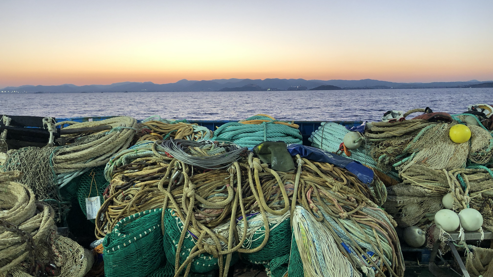 Científics de la UIB constaten que protegir el Canal de Menorca ajuda les espècies marines a adaptar-se als canvis ambientals