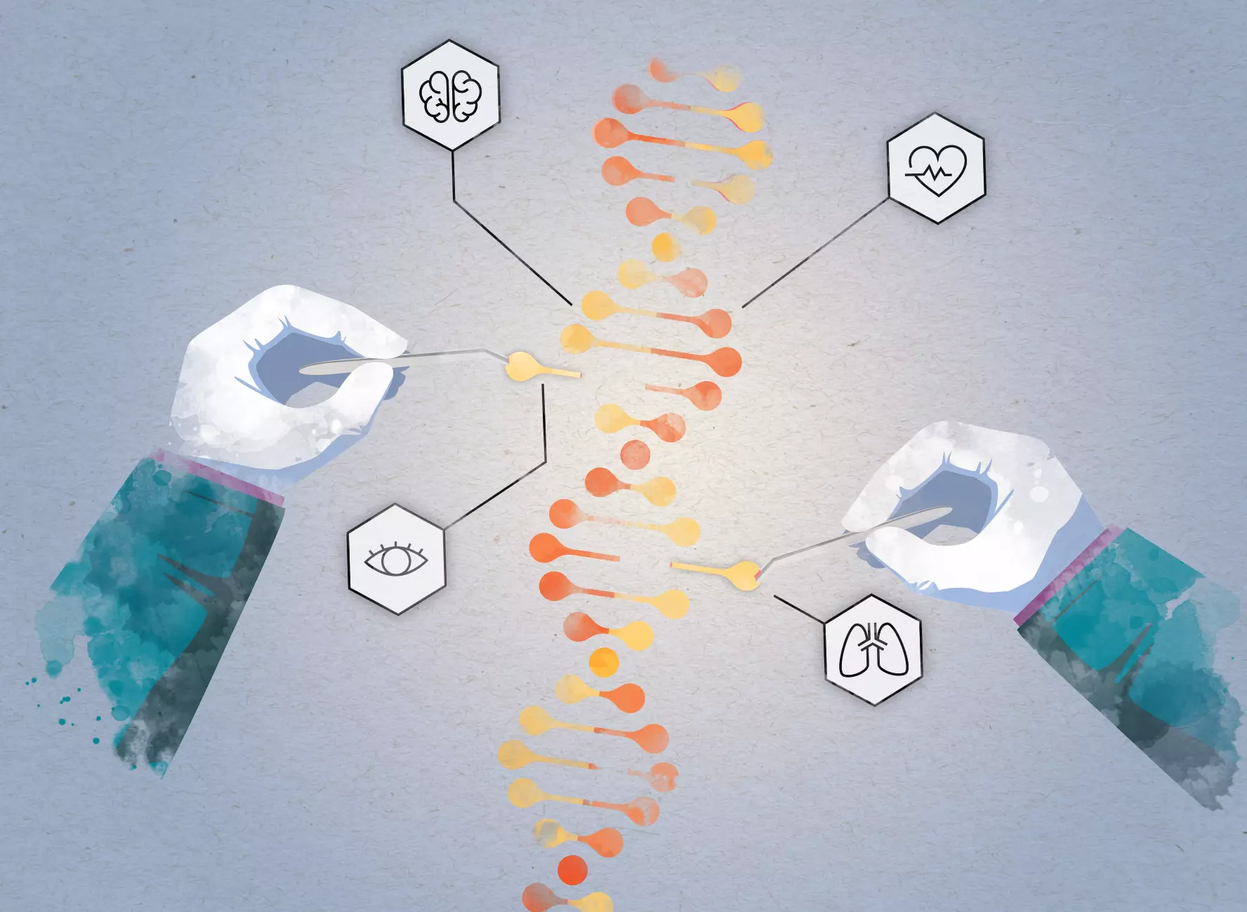 El cervell es forma per una interacció dinàmica entre el que diuen els programes genètics i l’ambient on es forma, s’educa i creix aquella persona