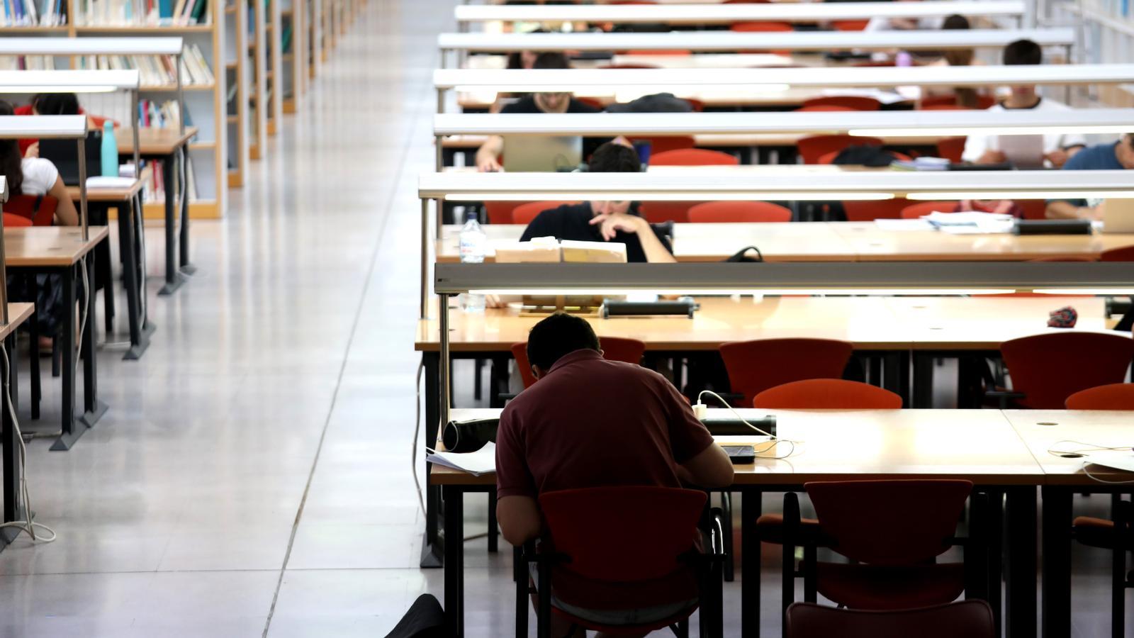 Los temarios para acceder a plazas docentes en la etapa de Primaria son los más recientes y se validaron en 2007.
