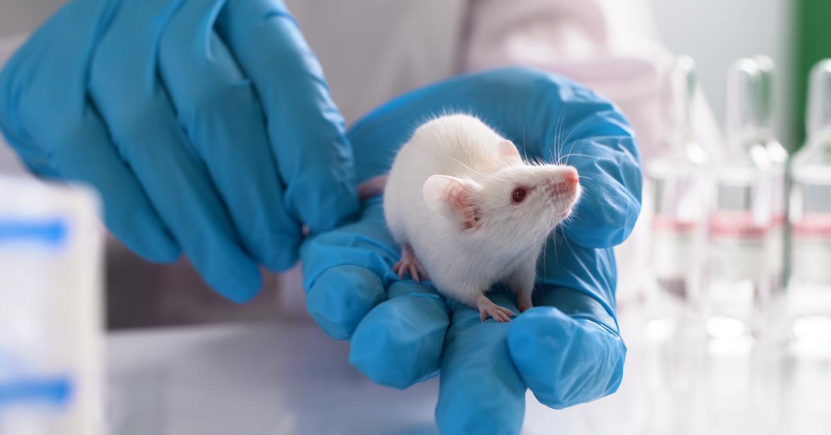Alzheimer’s Reversal: Mouse Study Breakthrough