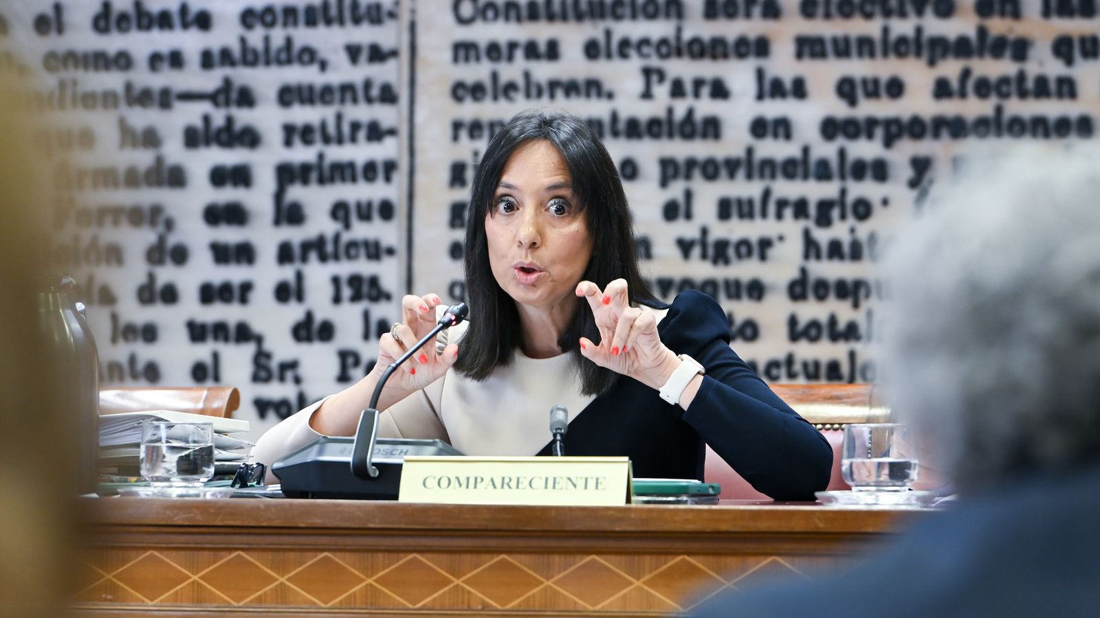 The Director General of the Guardia Civil, Mercedes González, appears before the Senate's Interior Committee to report on the alleged meetings to try to discredit the UCO.