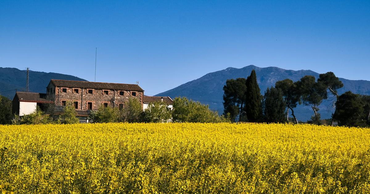 Inici de setmana amb més suavitat i vent als dos extrems del país