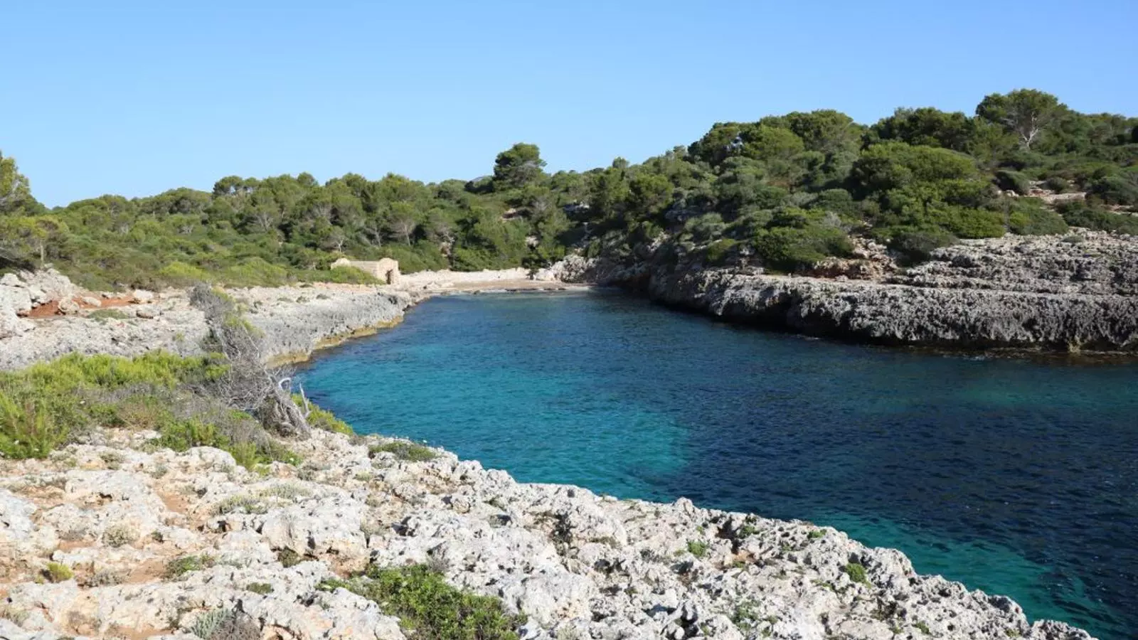 Cala Sa Nau.