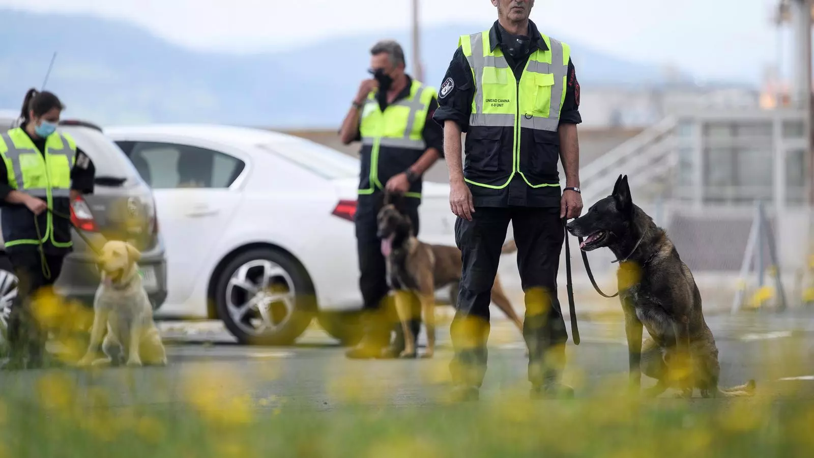 Agents de la policia portuària patrullant amb gossos per l'interior del recinte del port de Santander.