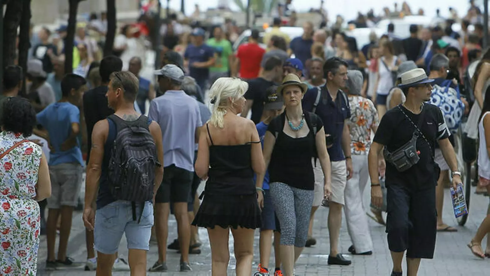 Canàries és la primera comunitat espanyola que garanteix aquest servei als turistes.