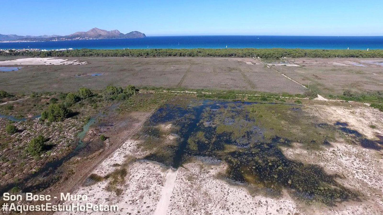 Un abocament d'aigües residuals afecta les zones de Son Bosc i s'Albufera