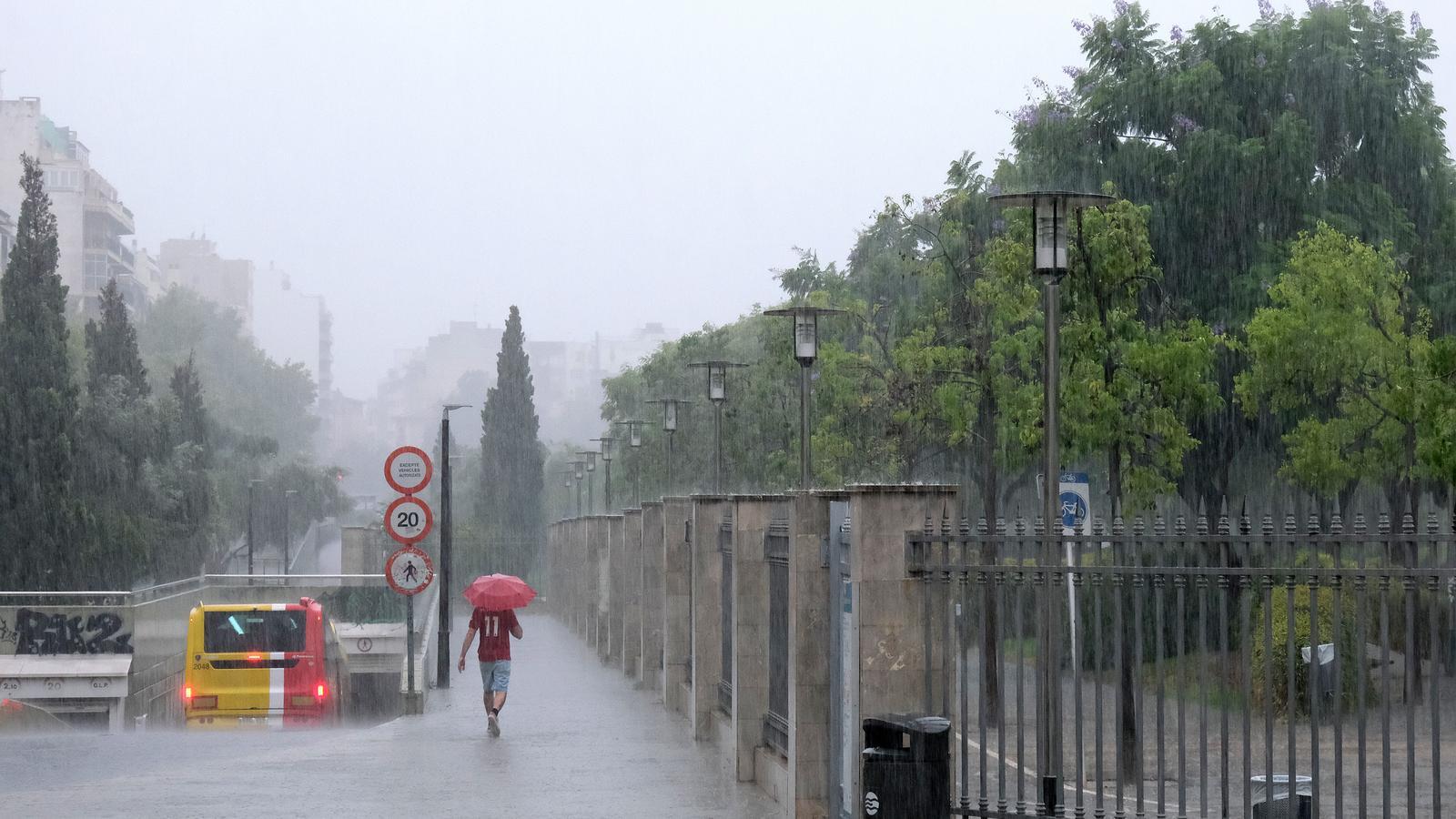 Un dia de pluja a Palma