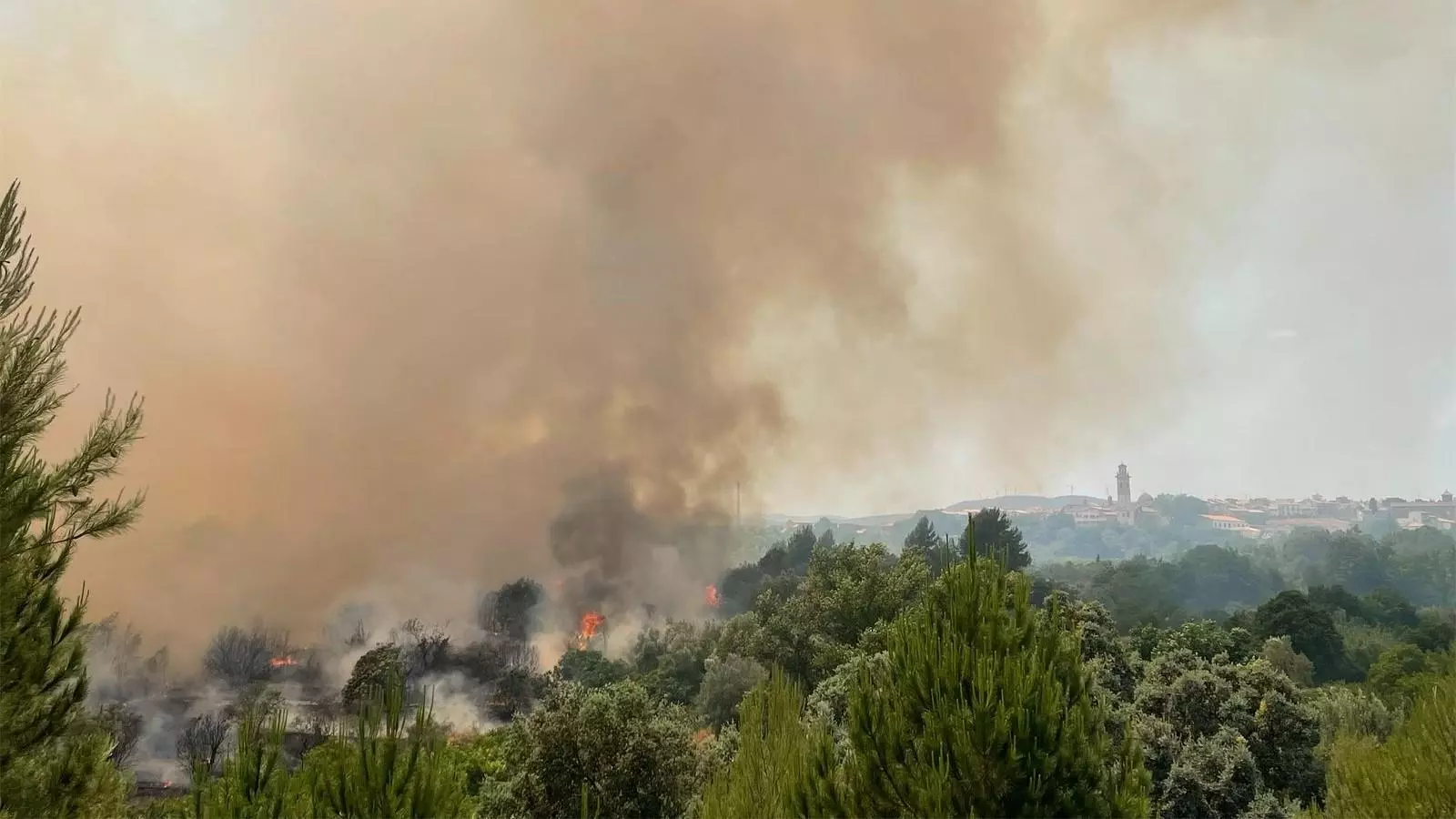 L'incendi forestal declarat al municipi valencià de Caudiel avançant cap als habitatges.