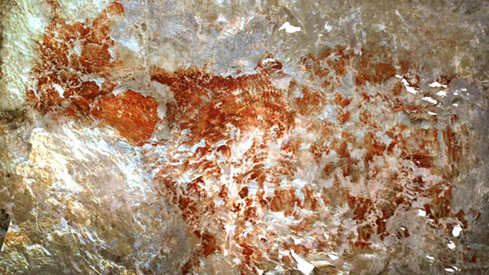 Una vaca vermella de Broneo, la pintura figurativa més antiga de la humanitat