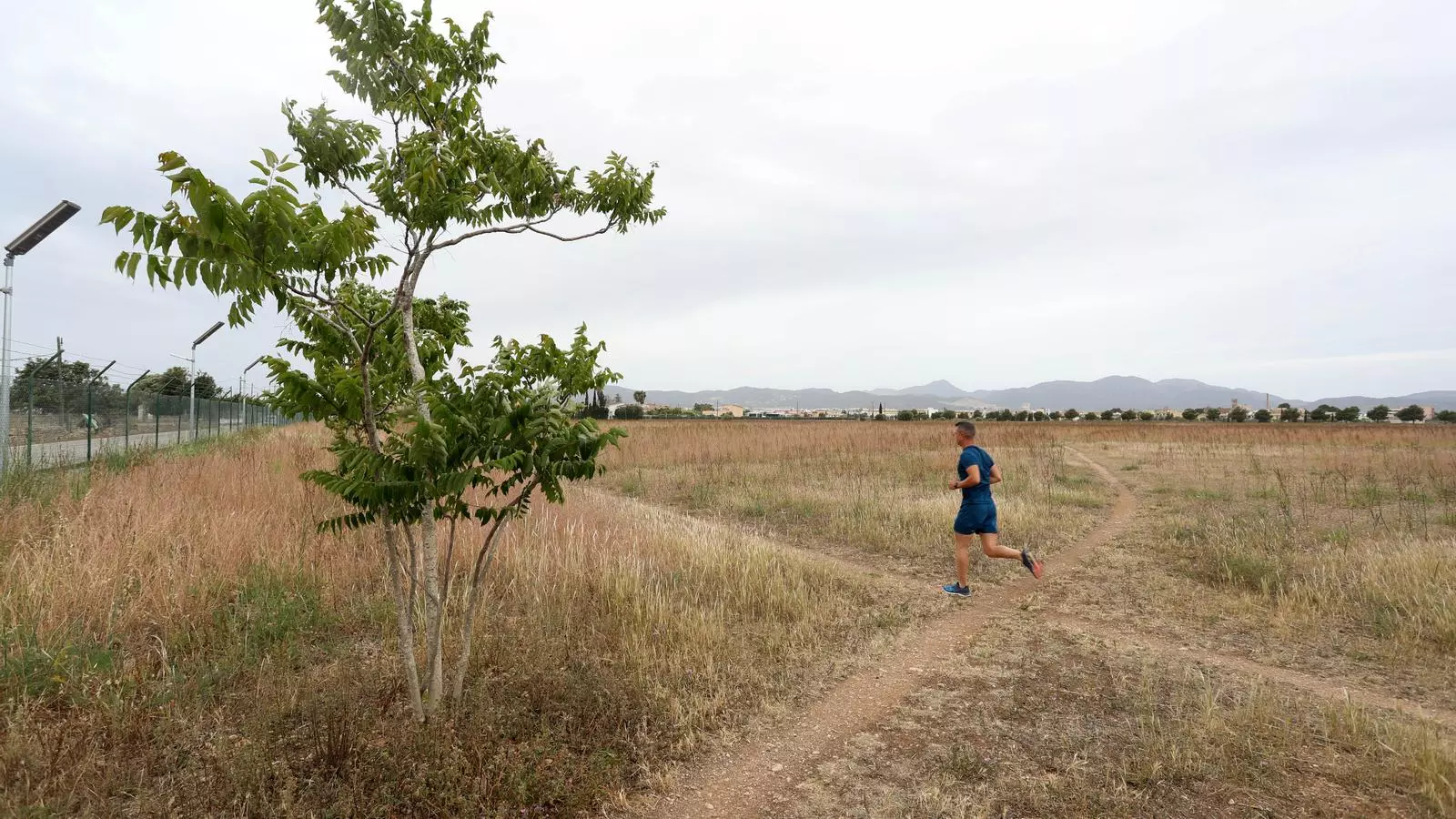 Els terrenys adjacents a l'aeròdrom de Son Bonet on Aena projecta posar les plaques fotovoltaiques.