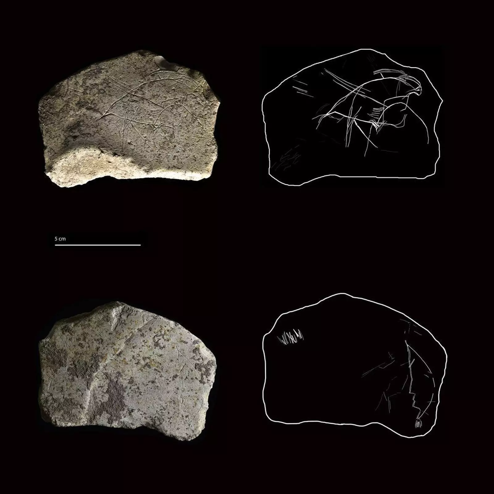 La plaqueta localitzada a la Cova Gran