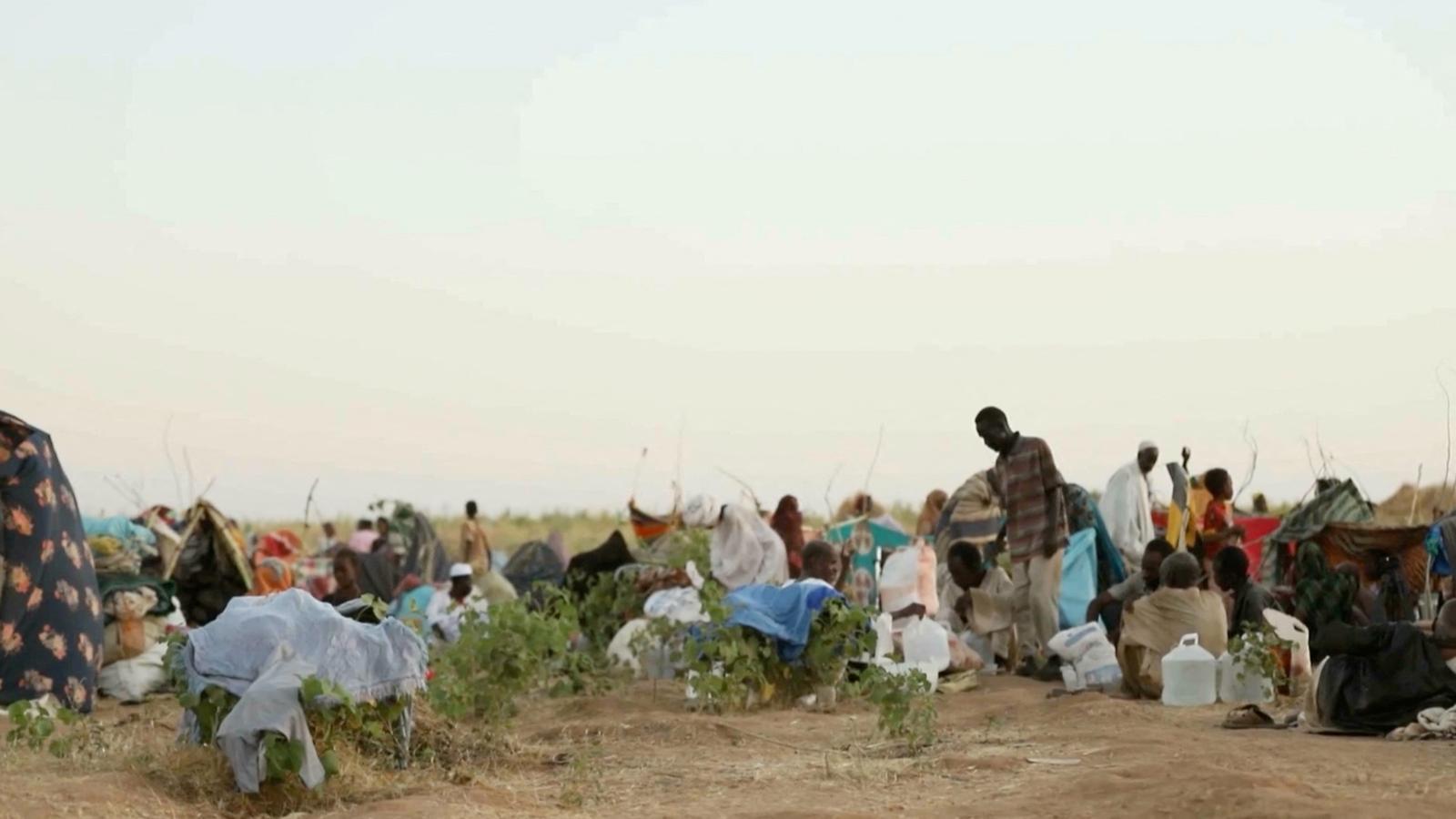 Desplazados sudaneses que han huido de la ciudad de El Fasher, en el campo de refugiados de Tawila.