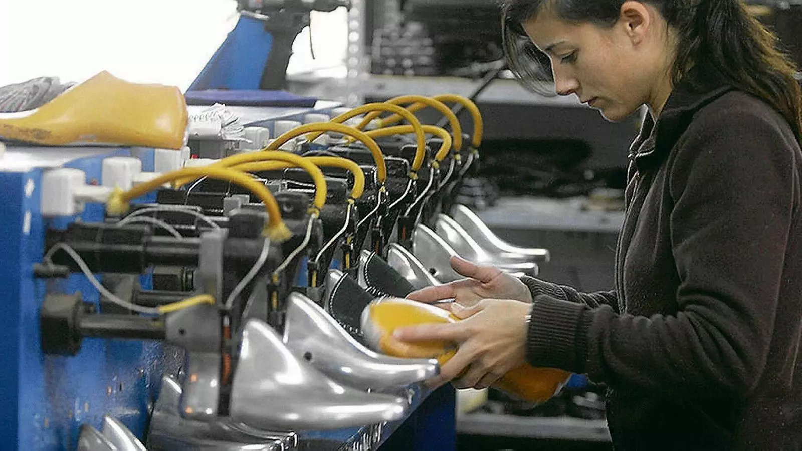 El futur creix sobre la memòria