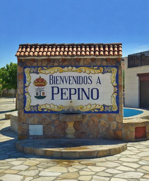 Una imatge de Pepino.