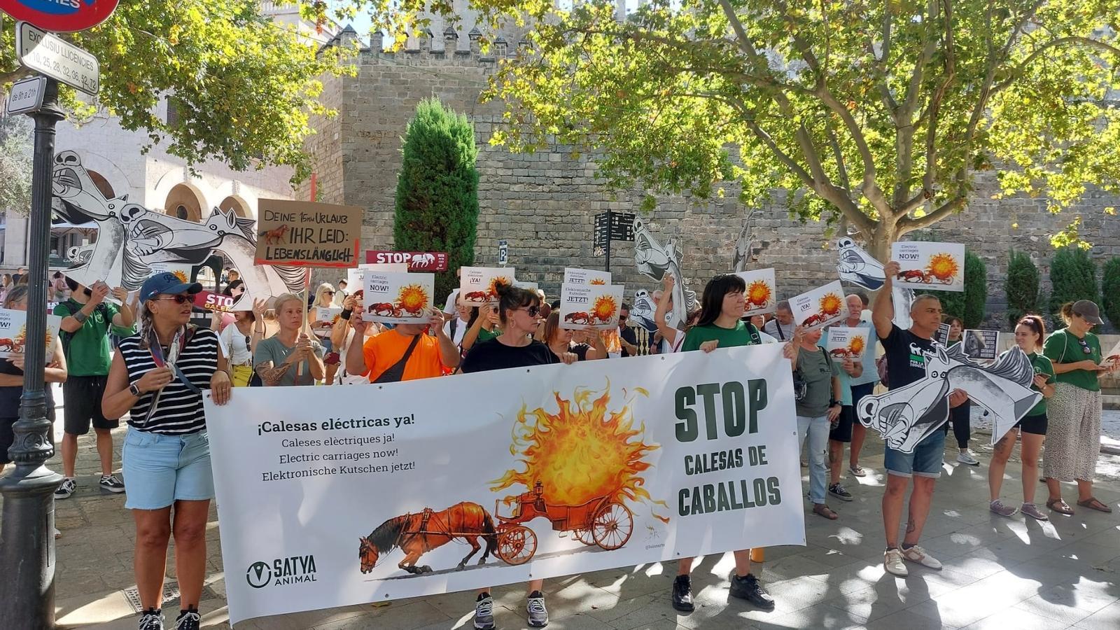 Tierschutzorganisationen haben sich an diesem Samstag versammelt, um das Ende von Pferdekutschen mit tierischem Antrieb zu fordern.