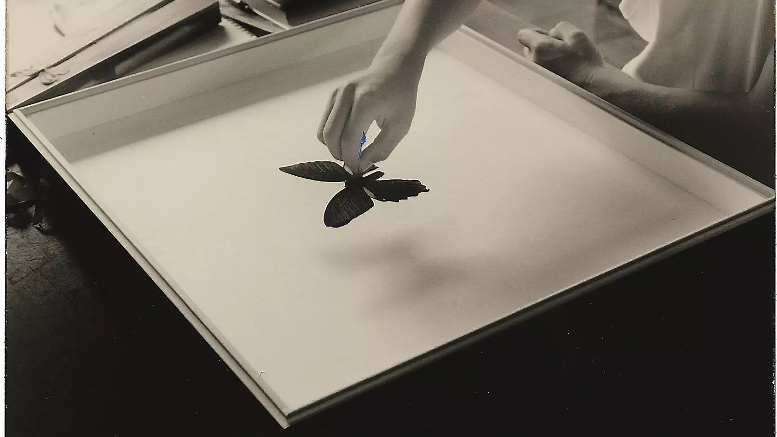 Masao Yamamoto. Nakazora_#1073. Aquesta obra va fer part de l’exposició del fotògraf japonès que la FTC organitzà al Claustre de Sant Bonaventura de Llucmajor.