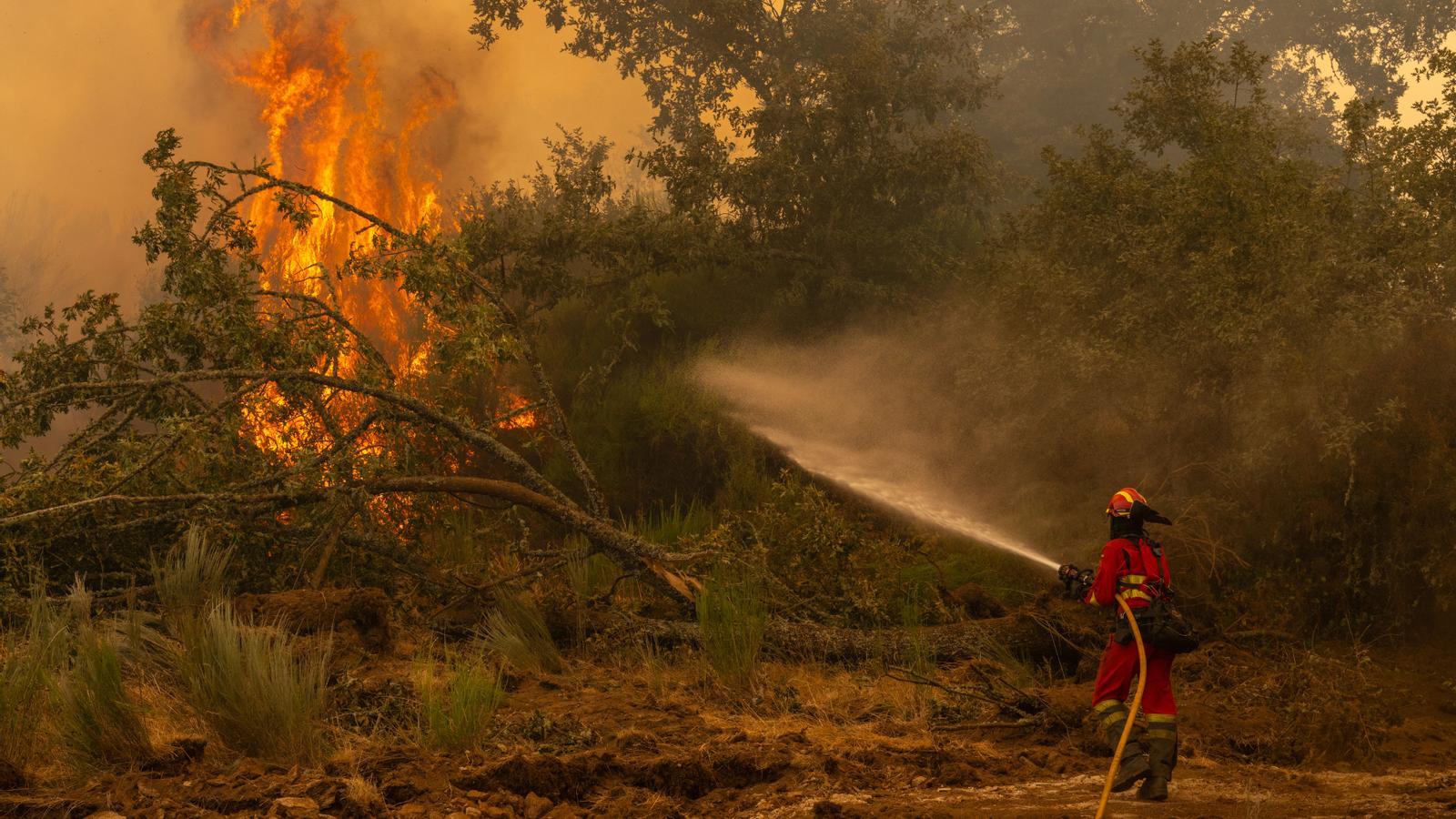The Chandrexa de Queixa fire, in Ourense, is the most serious this summer in Galicia