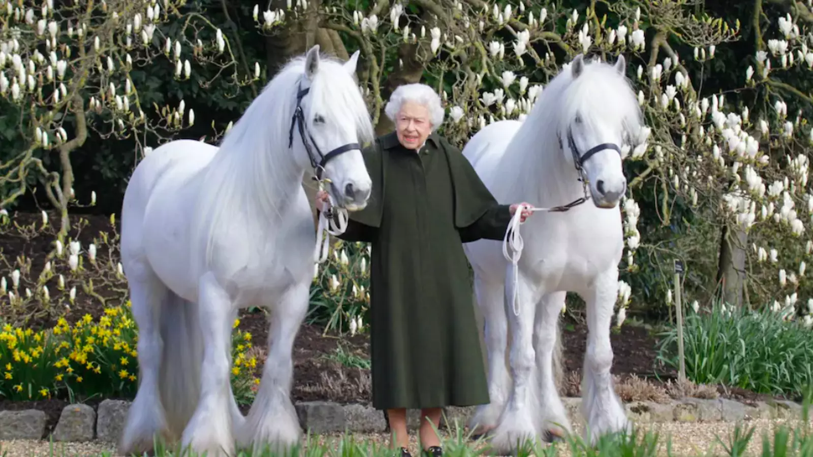 Isabel II con los ponías Bybeck Nightingale (a la izquierda) y Bybeck Katie, a la derecha