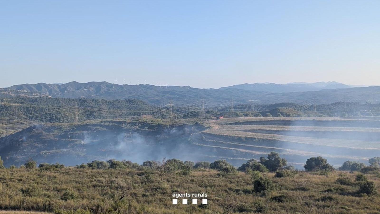 Vegetation fire in Vinebre (Ribera d'Ebre).