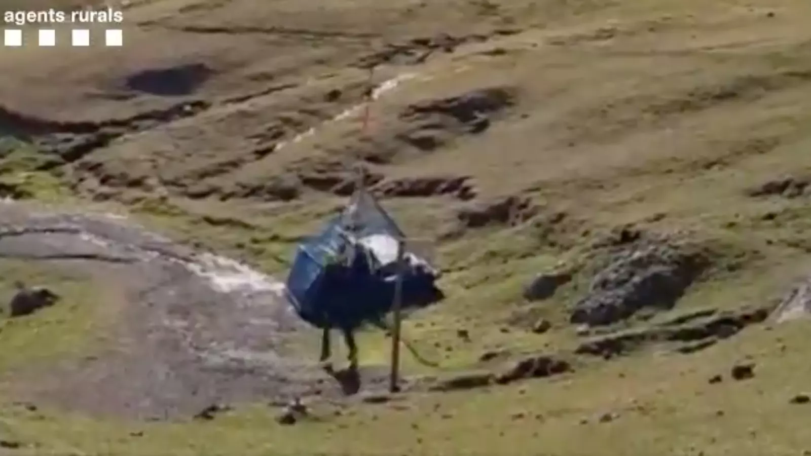 Retiren en helicòpter els desperfectes causats pel Glòria a Prat d'Aguiló. / AGENTS RURALS