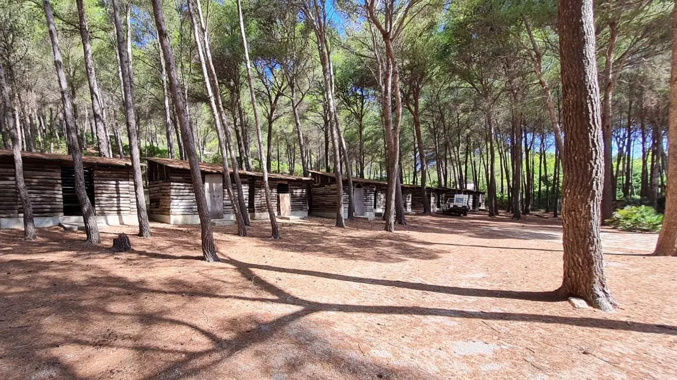 L’espai de colònies de Cala Murta, situat a la península de Formentor.