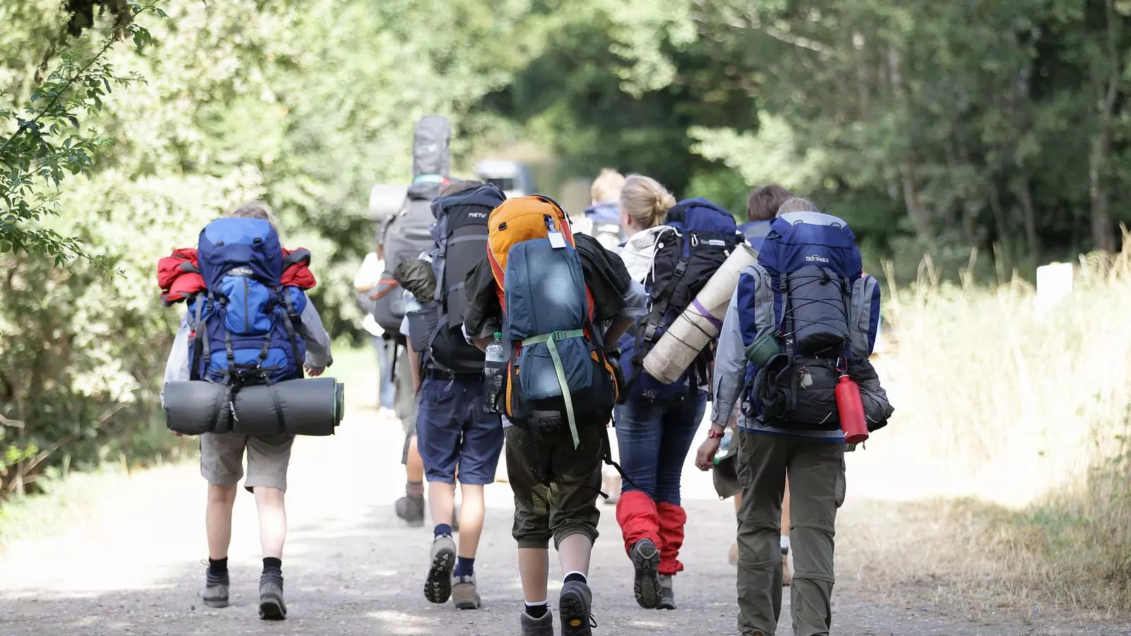 Un grup de Boy Scouts