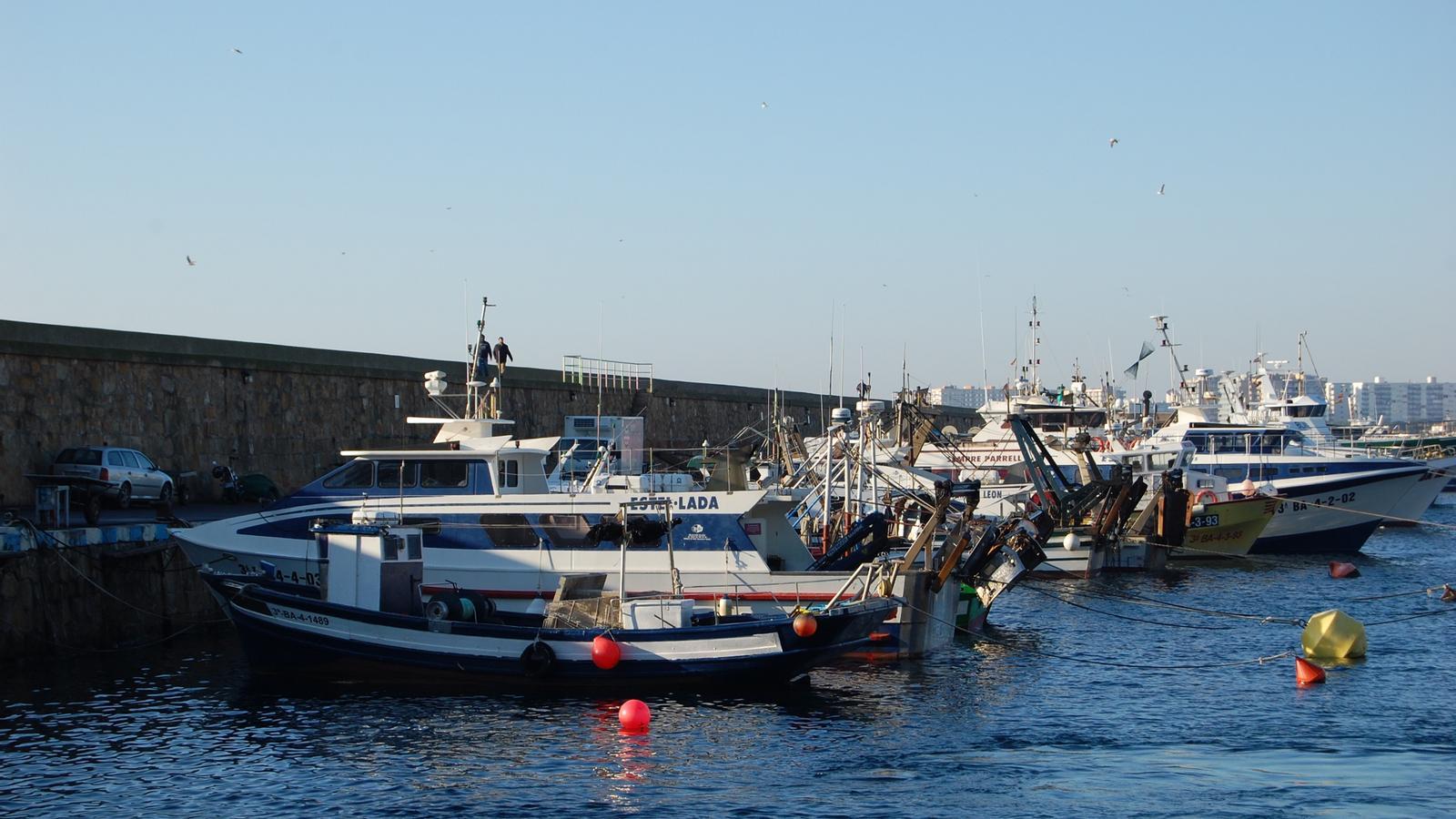 Hasta doce embarcaciones gerundenses se dedican a la pesca del sonso / ACN