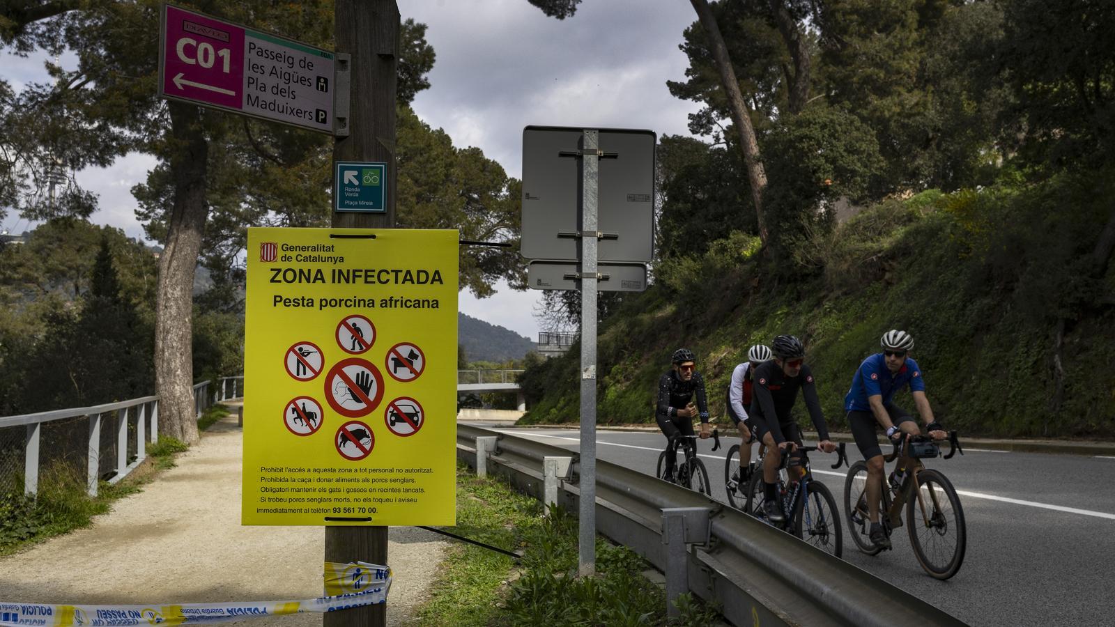 A sign in Collserola warning that it is an African swine fever surveillance zone.