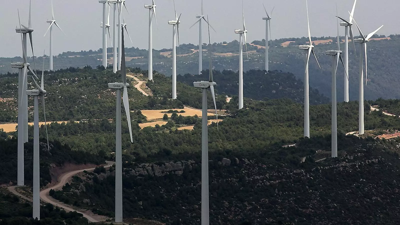 Las eléctricas se vuelcan en las renovables sin prima