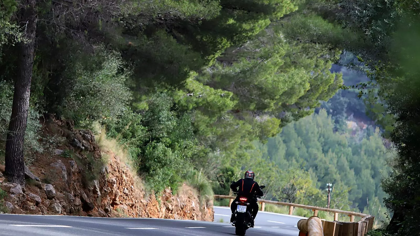 El renou de les motos posa en perill la reproducció dels ocells
