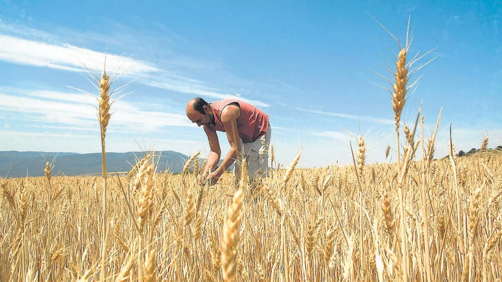 Un sector primari fort i competitiu.