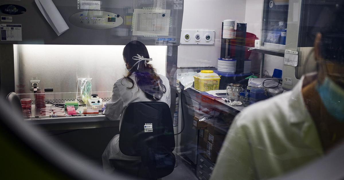 Barcelona Court Overturns Cellex & Mir Puig Intervention