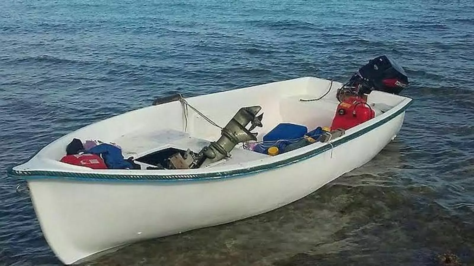 Una pastera arribada a les costes de les Illes.