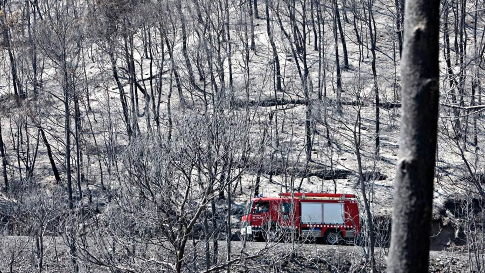 Incendis a l'Empordà/ Cèlia Atset