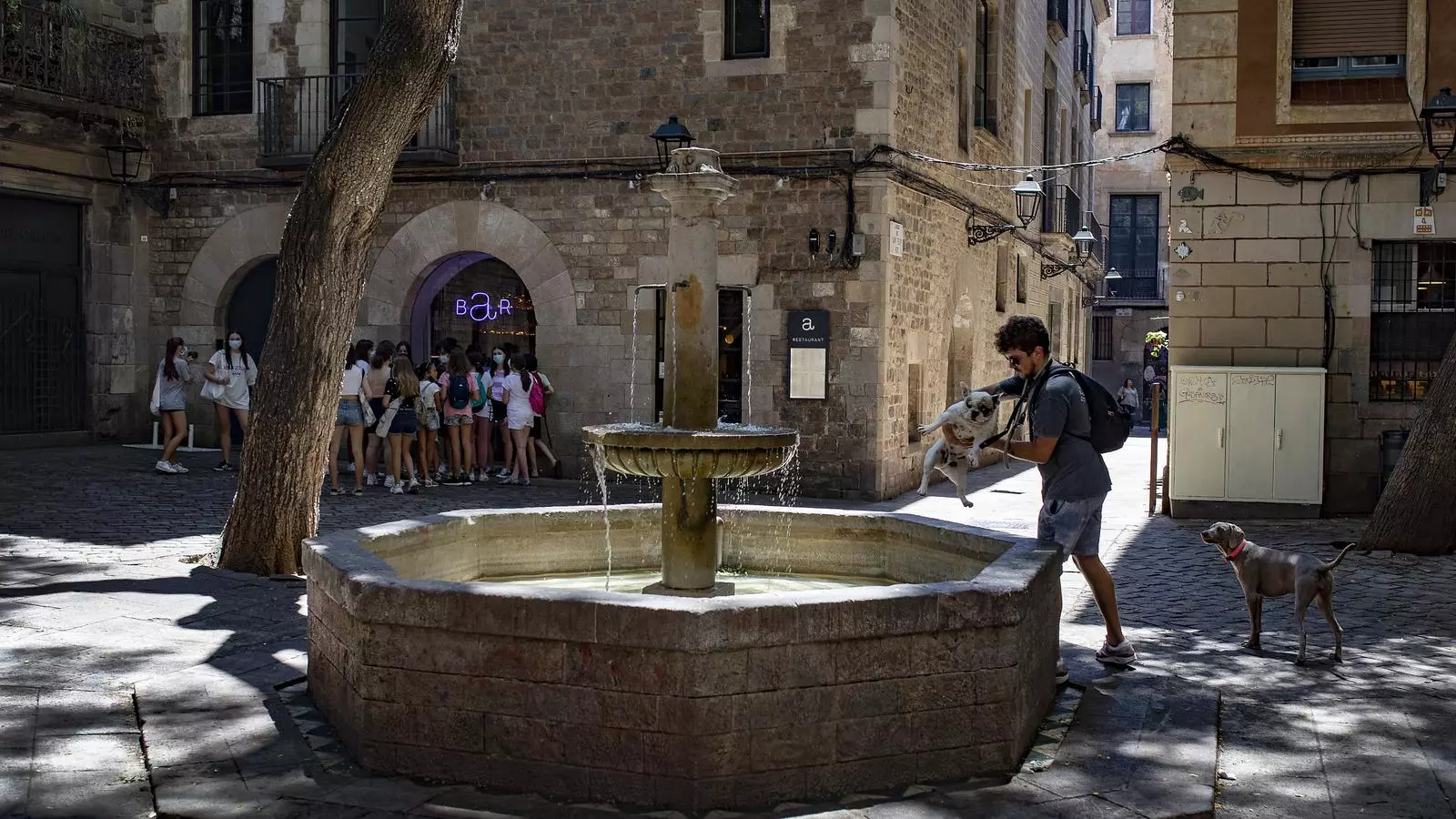 La plaça Sant Felip Neri, al Barri Gòtic, un matí de la setmana passada