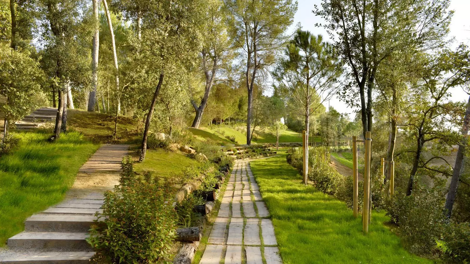 El Camí del Bosc, un sender forestal vorejat per troncs amb cendres dins, al cementiri de Roques Blanques.
