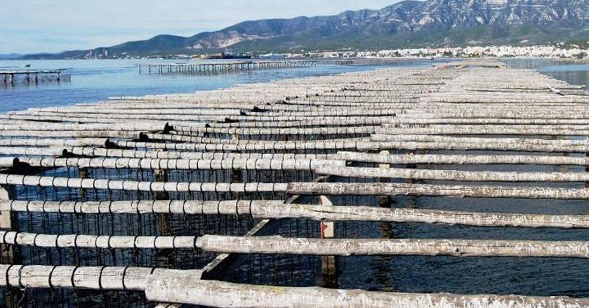 6 restaurantes en las Terres de l’Ebre que te harán tocar el paraíso gastronómico