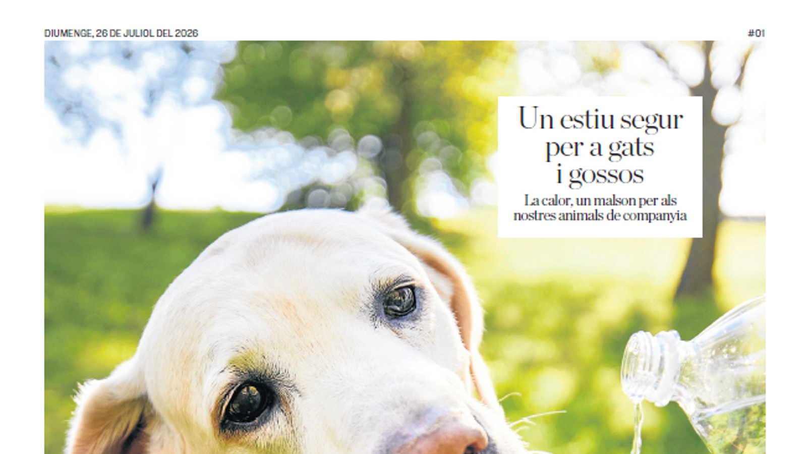Portada de 'ARA Estiu' de este domingo