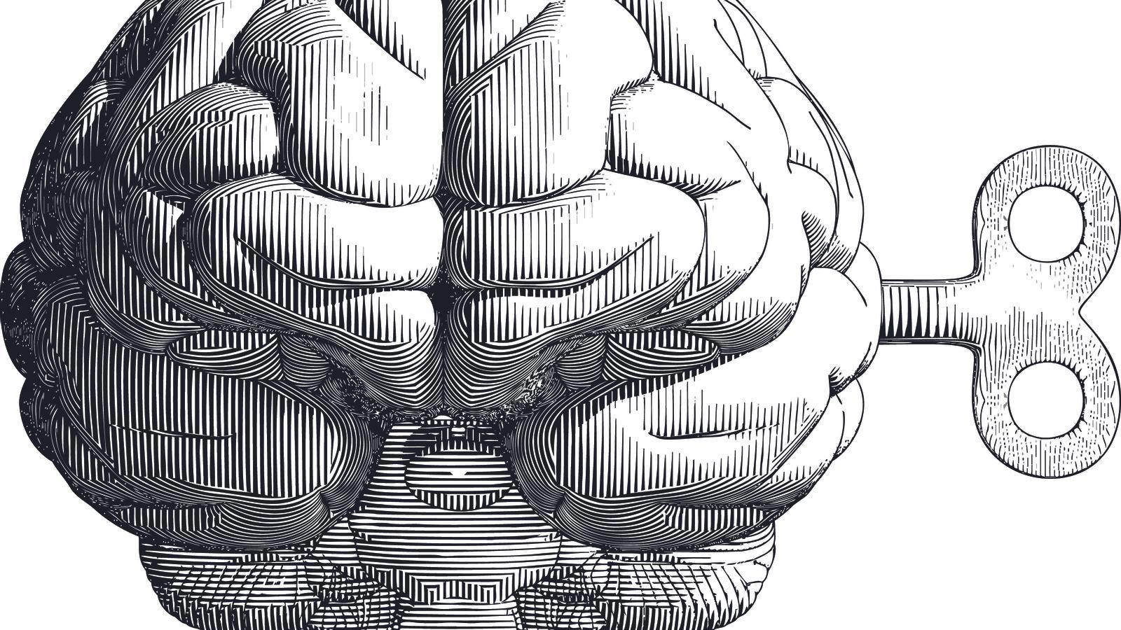 El cervell marca encara els límits del coneixement?
