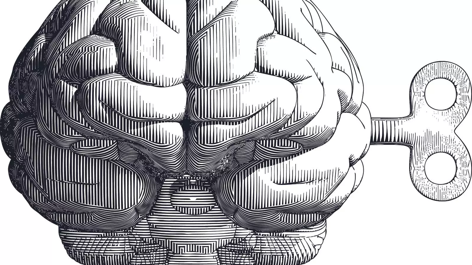 El cervell marca encara els límits del coneixement?